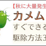 【秋に大量発生】すぐできる！カメムシのカンタン駆除方法3選