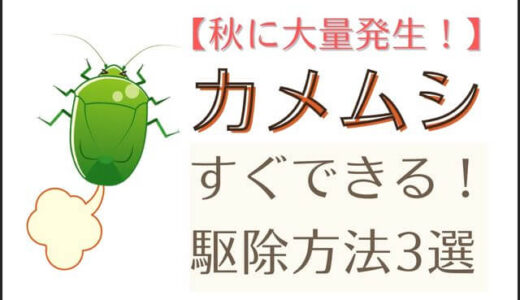 【秋に大量発生】すぐできる！カメムシのカンタン駆除方法3選