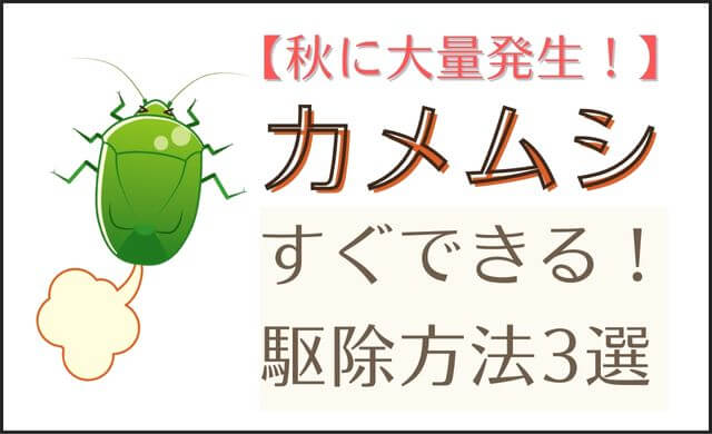 すぐできる！カメムシの駆除方法3選